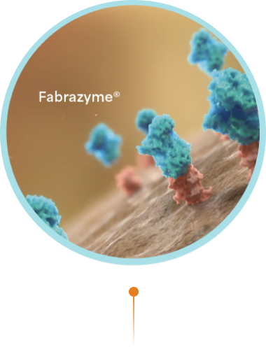 An illustration of Fabrazyme® (agalsidase beta) binding to the surface of cells